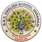 BNS English School